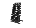 Precor Vitality Vertical Dumbbell Rack – 8 Pair
